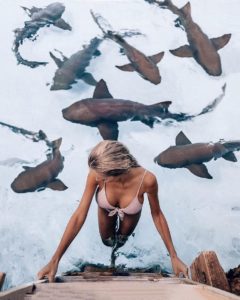 31479141 2139851626249738 2075599965777821696 n