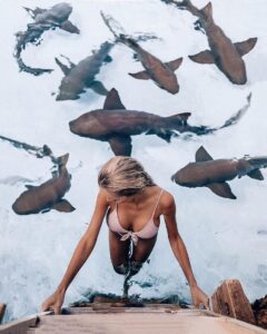 628220301 18435011584113161 6716255364650390160 n