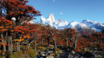 PATAGONIA DE LUJO - Imagen 4