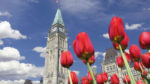 Capitales Canadienses Turista Fin Niagara - Imagen 4