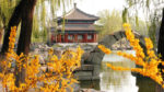 Triangulo Dorado en China y Chengdu - Imagen 4