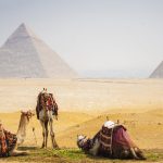 Egipto, Petra y Tierra Santa