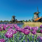 Madrid, París, Londres y Amsterdam +i