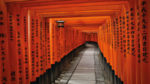 Tokio, Kioto y Alpes - Imagen 4