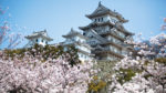 Japón Esencial y China Tradicional - Imagen 2