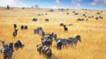 Safari Morani - Imagen 3