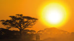 Sudáfrica Clásica - Imagen 5