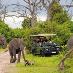 Sudáfrica con Ruta Jardin