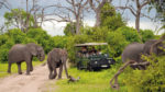 Sudáfrica con Ruta Jardin