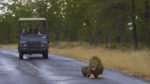 Sudáfrica con Ruta Jardin - Imagen 2