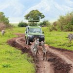 Kenia y Tanzania Clásica