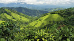 Caribe Costarricense - Imagen 4