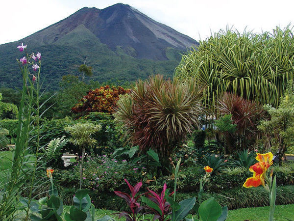 Costa Rica deluxe