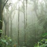 Especial Luna de Miel