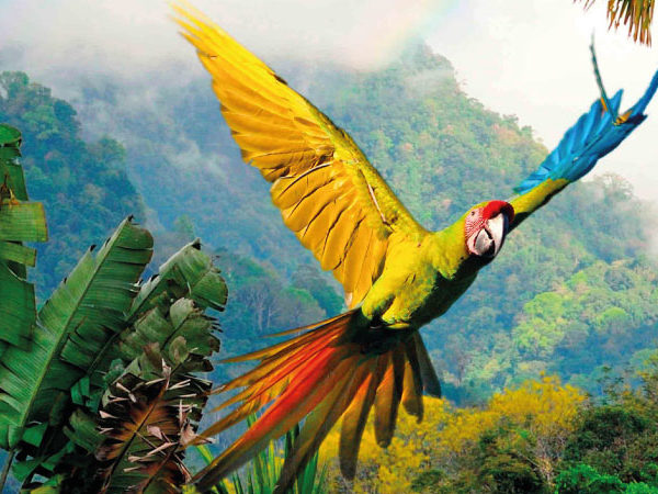 Costa Rica y sus Alrededores