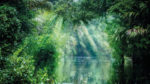 Caribe Costarricense - Imagen 5