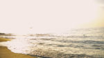 Panamá y Playa
