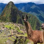 Disfruta una Experiencia Andina