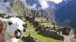 CRUCERO POR EL AMAZONAS CON MACHU PICCHU - Imagen 5