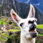 Increíble Perú Fin de Año