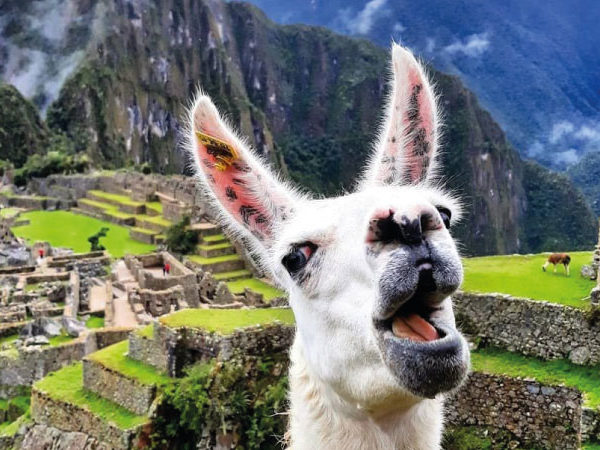Increíble Perú Fin de Año