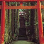 Norte de Japón y Hakone