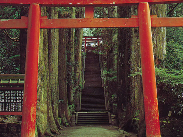 Norte de Japón y Hakone