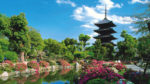 Clásicos de Corea y Japón Fin Tokio - Imagen 5