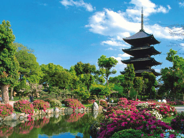 Paisajes de Japón