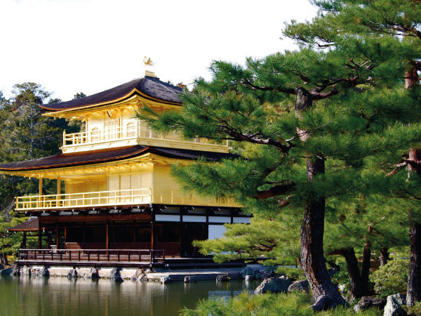 Japón Central y Hakone