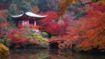 Contrastes de Japón fin Tokio - Imagen 3