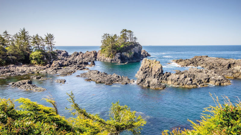 Viaje-a-Canada-Nanaimo-3 Viaje Vancouver + Pacific Rim - Imagen 4