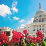 Chicago, Washington Turista