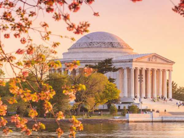 Washington y Nueva York Turista Lunes