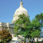 Triángulo del Este (Nueva York, Cataratas y Washington)