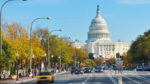 Chicago, Washington y NY Turista - Imagen 2