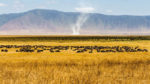Descubriendo Kenia + Tanzania - Imagen 5