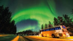 Ruta Ártica Boreal - Imagen 6
