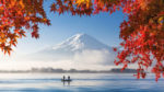 Cerezos Japoneses en Silver Muse - Imagen 2