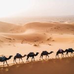 Misterios de Marruecos y el Gran Sahara