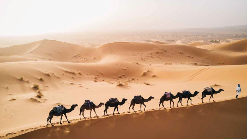 Viaje-a-Marruecos-Merzouga-2 Misterios de Marruecos y el Gran Sahara - Imagen 1