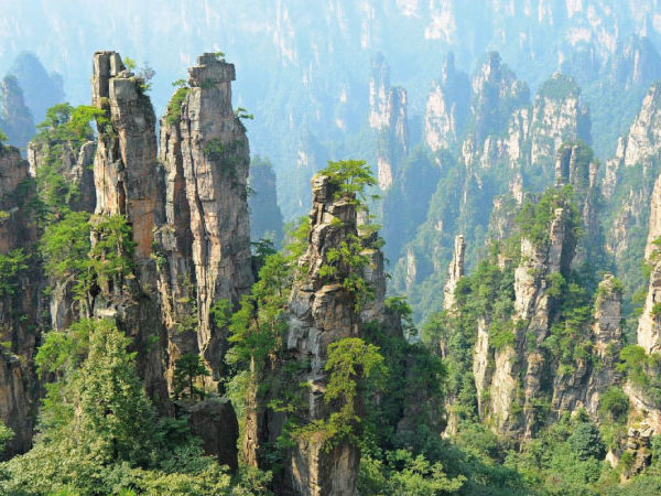 Ruta del Dragon Dorado