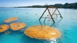 Bacalar y Chetumal - Imagen 4