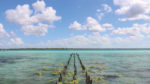 Bacalar y Chetumal - Imagen 6