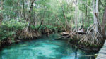Yucatán al Máximo - Imagen 7