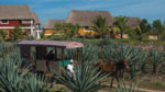 Yucatán al Máximo - Imagen 5