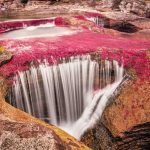Caño Cristales