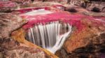 Caño Cristales