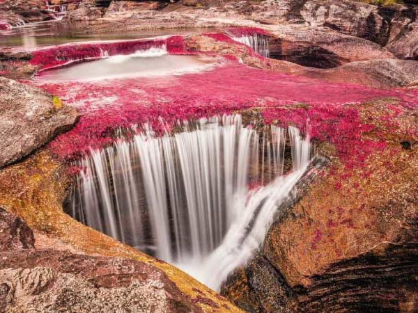 Caño Cristales