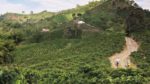 Colombia, camino hacia El Dorado - Imagen 7